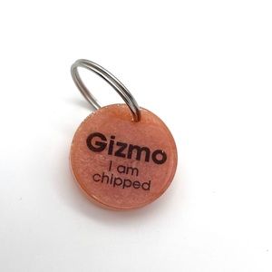 “Gizmo” Semi-personalized dog or cat tag